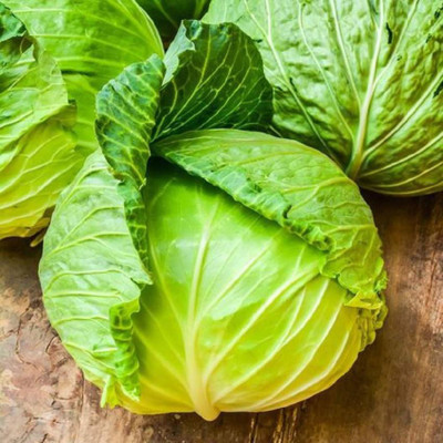 Kofy Cabbage Seed(20 per packet)