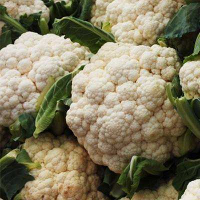 Kofy Cauliflower Seed(40 per packet)