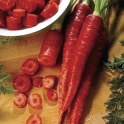 sporos Red carrot Seed(70 per packet)
