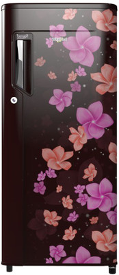 Whirlpool 190 L Frost Free Single Door 2 Star (2018) Refrigerator(Maroon, 205 IMPC Roy 2S Wine Adora)