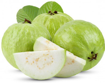 Paudha Guava ( amrood ) Seed(37 per packet)
