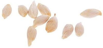 VibeX XII-1314 Kagzi Lemon Dwarf Variety Seed(15 per packet)