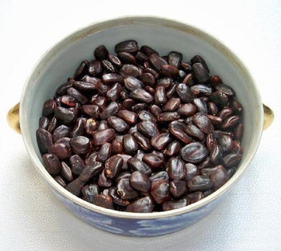 WILLVINE Tamarind Seed(50 per packet)