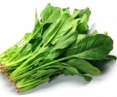 sporos Palak Seed(100 per packet)