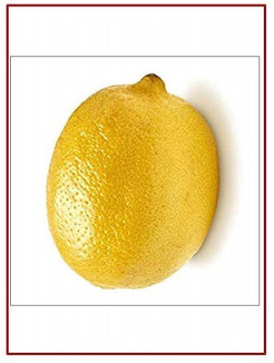 VibeX Lemon Seed(14 per packet)