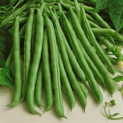 BDSresolve hybrid beans seeds for gardening Seed(74 per packet)