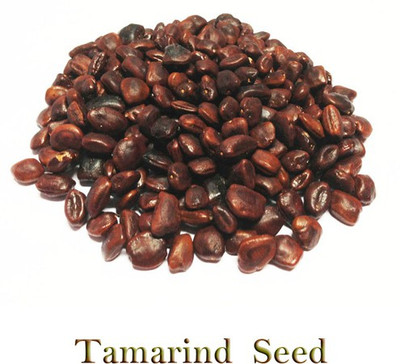 VibeX Tamarind Seed(9 per packet)
