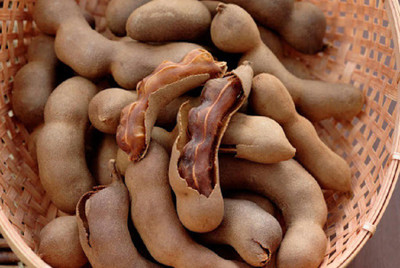 VibeX Malabar Tamarind Bonsai Suitable Seeds Seed(30 per packet)