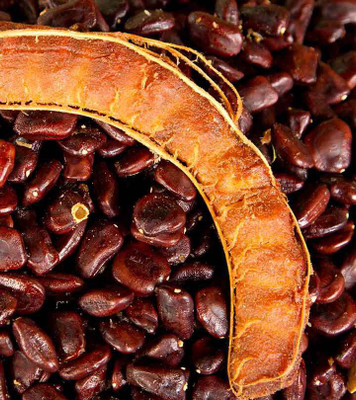 VibeX Tamarind or Imli Seed Seed(7 per packet)
