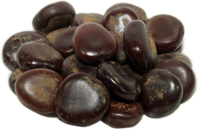 VibeX VXI-330Guarenteed Germination Tamarind or Imli Seed Seed(20 per packet)