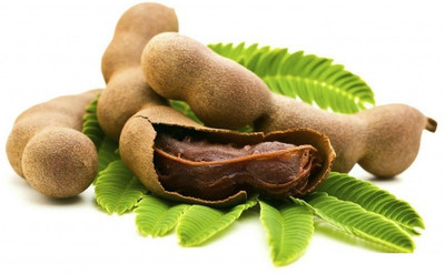 VibeX VXI-490Fruit-Seed-Manila Tamarind Seeds Seed(8 per packet)