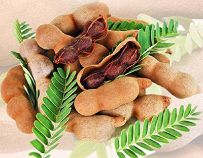 VibeX Fruit-Seed-Manila Tamarind Seeds Seed(8 per packet)