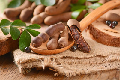 VibeX Germination Malabar Tamarind Seeds Seed(7 per packet)