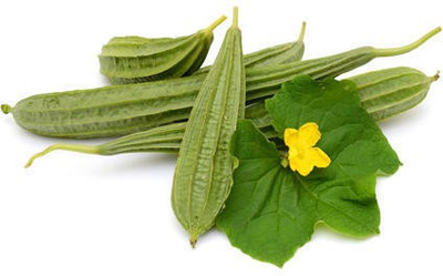 Mozette Hybrid ridge gourd Seed(70 per packet)