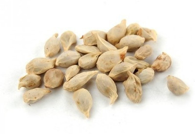 VibeX Hybrid Kagzi Lemon Seed(2 per packet)