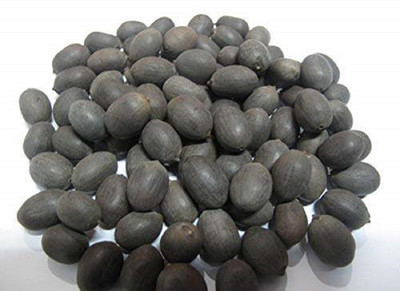 Harcog kamal gatta Seed(250 per packet)