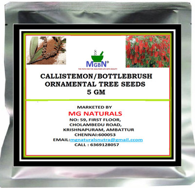 MGBN CALLISTEMON/BOTTLEBRUSH ORNAMENTAL TREE SEEDS - 5 GM Seed(5 per packet)