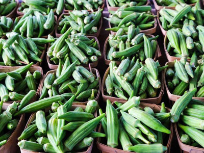 XOLDA Okra Seed(27 per packet)