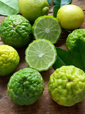 Qualtivate ® Mausambi Sweet Lemon Fruit - Citrus Limetta Seeds Seed(3 per packet)