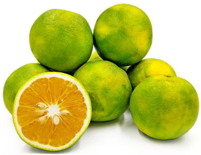 VibeX Mosambi Citrus Limetta Plant Seed(18 per packet)