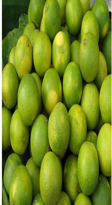 Qualtivate ® Mosambi/Sweet Lemon Fruit Healthy Plant Seeds Seed(2 per packet)