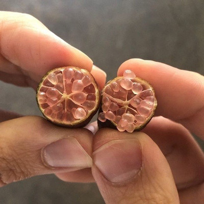 CRGO ™ XII-1569 Kagzi Lemon Fruit Seeds - Huge Production Seed(18 per packet)
