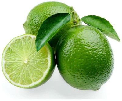 VibeX Darjeeling variety Mosambi Citrus Limetta Plant Seed(20 per packet)