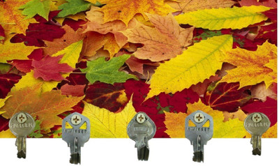 50% OFF on Go Hooked Wood Key Holder(5 Hooks, Multicolor)