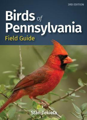 Birds of Pennsylvania Field Guide(English, Paperback, Tekiela Stan)