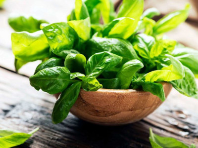 Kofy Basil Seed(10 per packet)