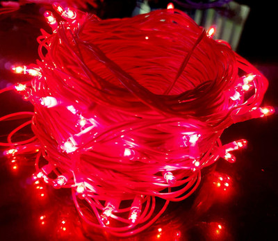 Ascension 50 LEDs 13 m Red Steady String Rice Lights(Pack of 2)