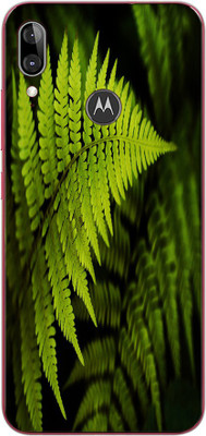 Vcare GadGets Motorola e6s Mobile Skin(Black, Green)