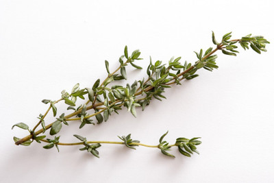 XOLDA Thyme Seed(50 per packet)