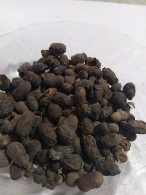 AmbeStore JamunSeeds-100gm,JamunGuthli,BlackberrySeeds,SyzygiumCumini,EugeniaJambolanaSeed Seed(100 per packet)