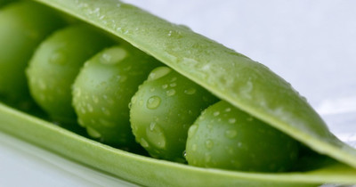 Kofy Green peas Seed(50 per packet)