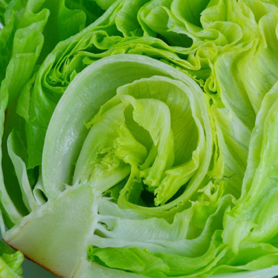 Kofy Iceberg lettuce Seed(50 per packet)