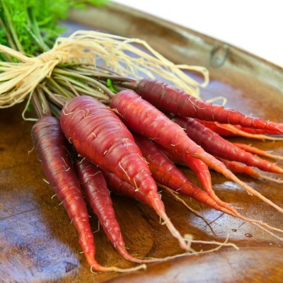 XOLDA Red carrot Seed(50 per packet)