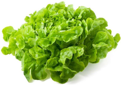Kofy Salad lettuce Seed(50 per packet)