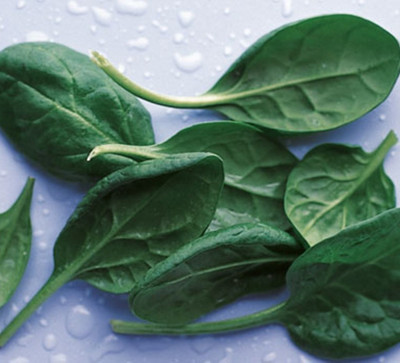 Kofy Spinach Seed(50 per packet)