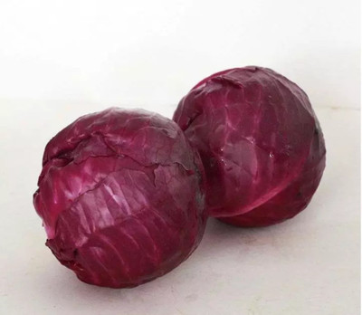 XOLDA Cabbage red Seed(50 per packet)