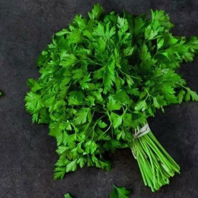Arlo Parsley Seed(30 per packet)