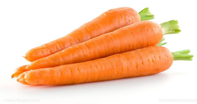 Paudha Carrot Seed(50 per packet)
