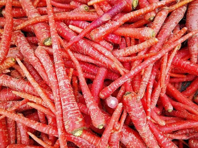 XOLDA Red carrot Seed(25 per packet)