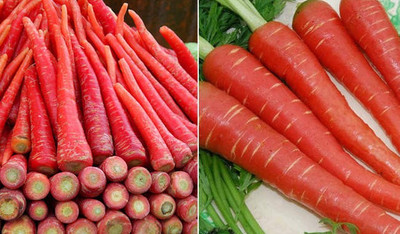 V Seed Desi Lal Gajar Carrot Seed Seed(85 per packet)