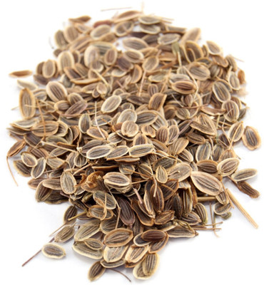 XOLDA Dill Seed(50 per packet)