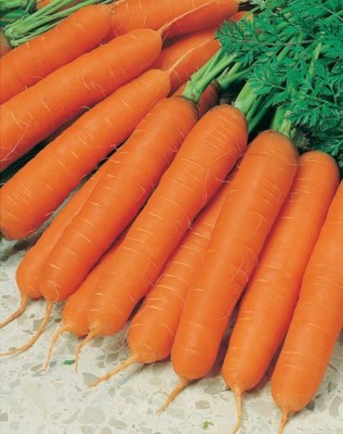 PMB Orange carrot Seed(25 per packet)