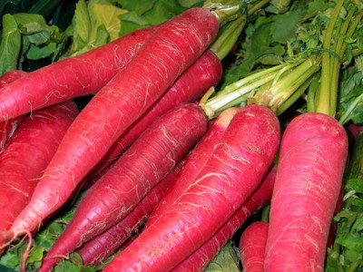 Kofy Carrot red Seed(50 per packet)