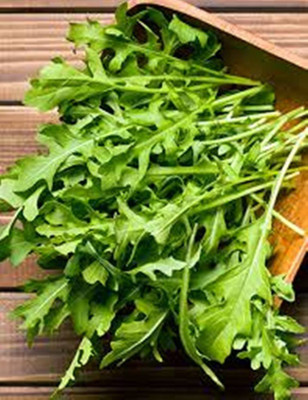 XOLDA Rocket leaf (salad) Seed(50 per packet)