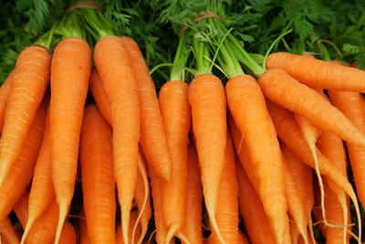 FERNSFLY® Orange Carrot Vegetables Seeds for Home and Garden seeds Pack for Gardening. Seed(10 per packet)