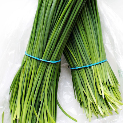 XOLDA Chives Seed(50 per packet)